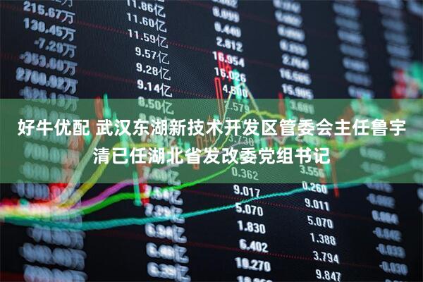 好牛优配 武汉东湖新技术开发区管委会主任鲁宇清已任湖北省发改委党组书记