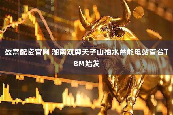 盈富配资官网 湖南双牌天子山抽水蓄能电站首台TBM始发