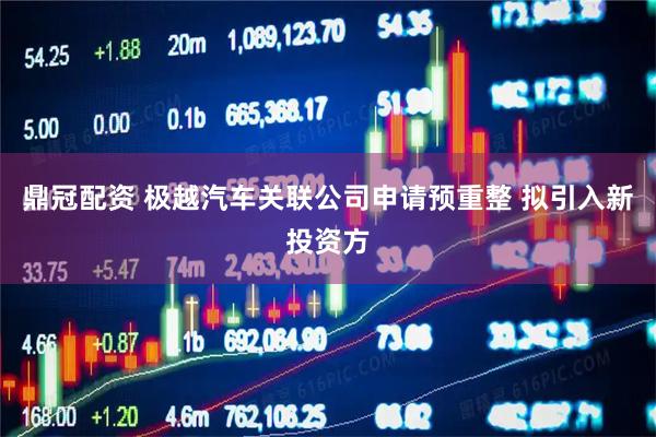 鼎冠配资 极越汽车关联公司申请预重整 拟引入新投资方