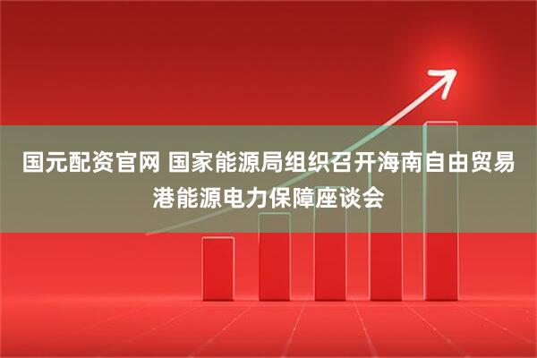 国元配资官网 国家能源局组织召开海南自由贸易港能源电力保障座谈会
