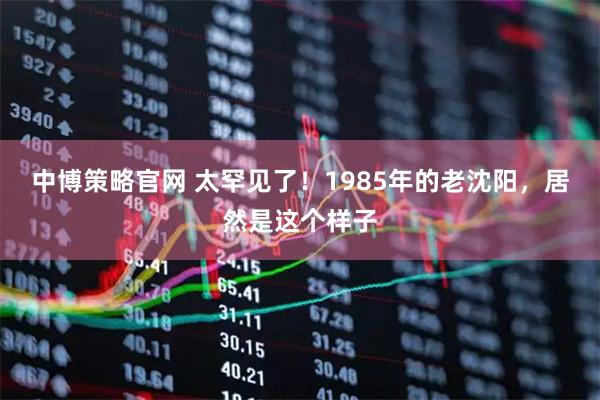 中博策略官网 太罕见了！1985年的老沈阳，居然是这个样子